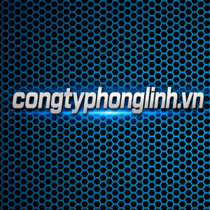 Tôn sơn tĩnh điện đột lỗ